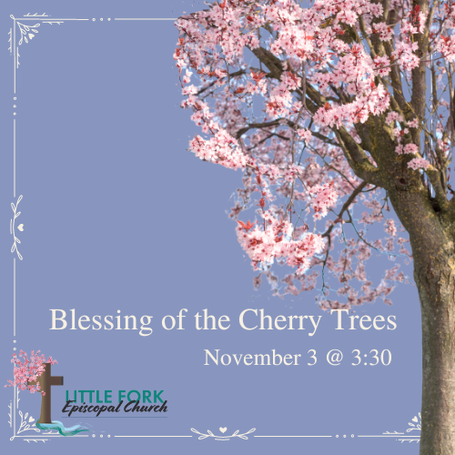 Blessing of the Cherry Trees Nov. 3, 2024