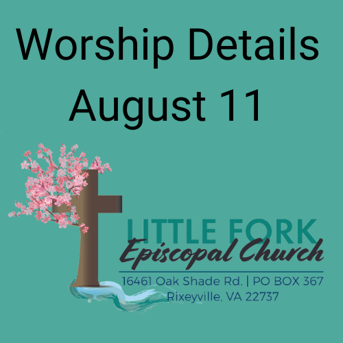 Worship & Livestream August 11, 2024