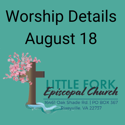 Worship & Livestream August 18, 2024