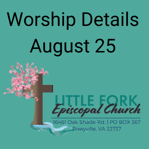 Worship & Livestream August 25, 2024