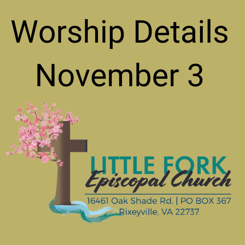 Worship & Livestream November 3, 2024